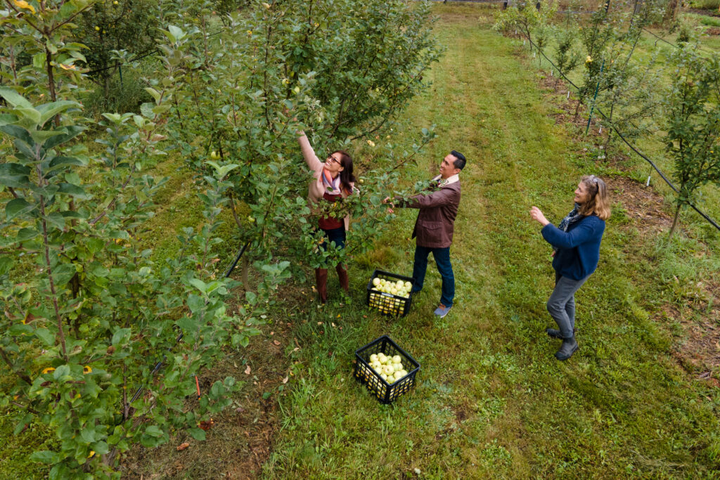 Many hands make light work. Burton City Cider in Arrow Slocan crafts their ciders with hand picked apples.