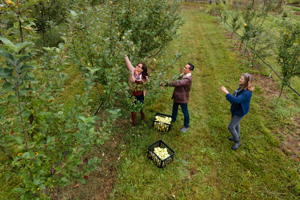 Burton City Cider on Arrow Lakes in Arrow Slocan, BC