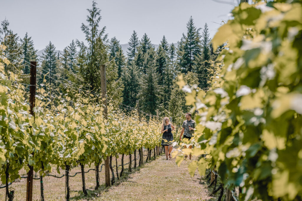 Valley of the Springs Winery. Enjoy a glass of wine in their tasting room.