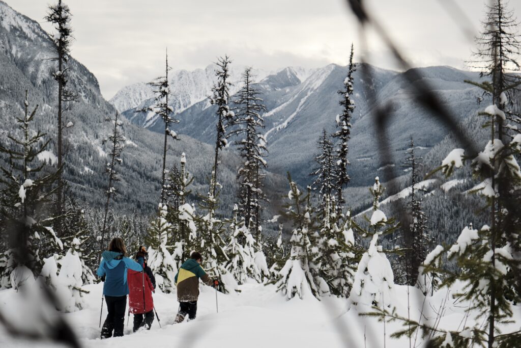 Snowshoe the Jack Rabbit Trail near Nakusp, BC